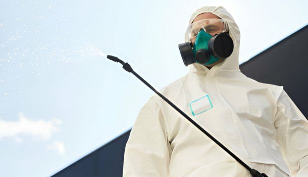 Pest Control Mornington